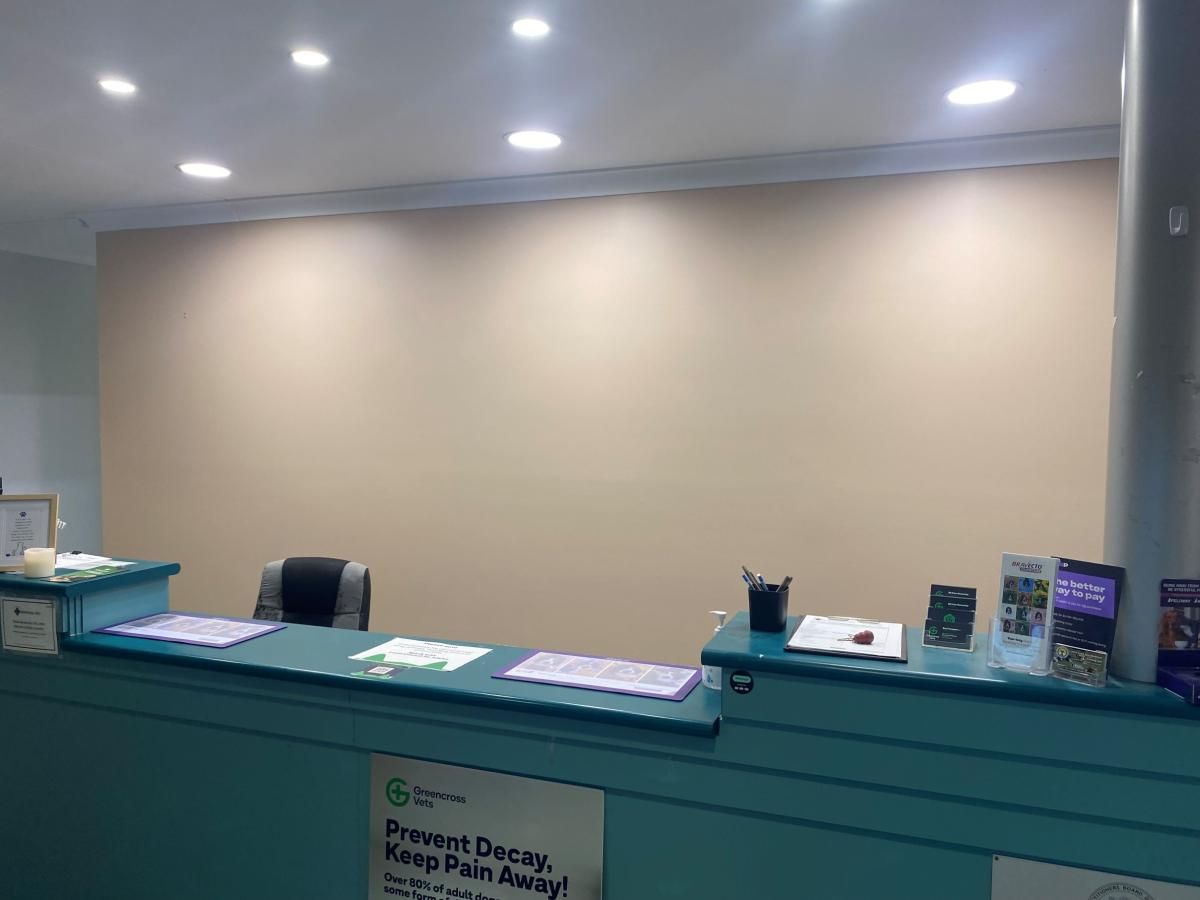 Veterinary clinic fitout painted for Greencross Vets
