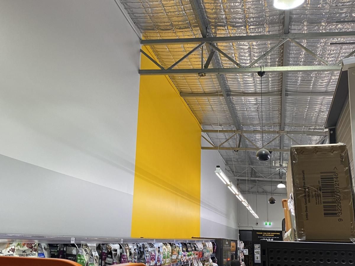 Petbarn yellow feature wall painted between white and grey walls above stocked shelving in Singleton