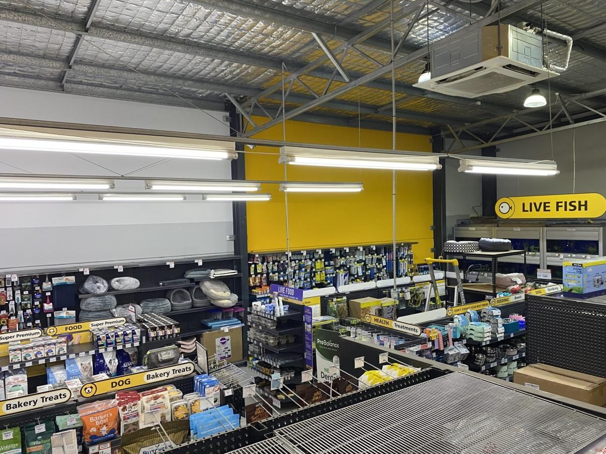 Petbarn shop fitout painting in Sydney