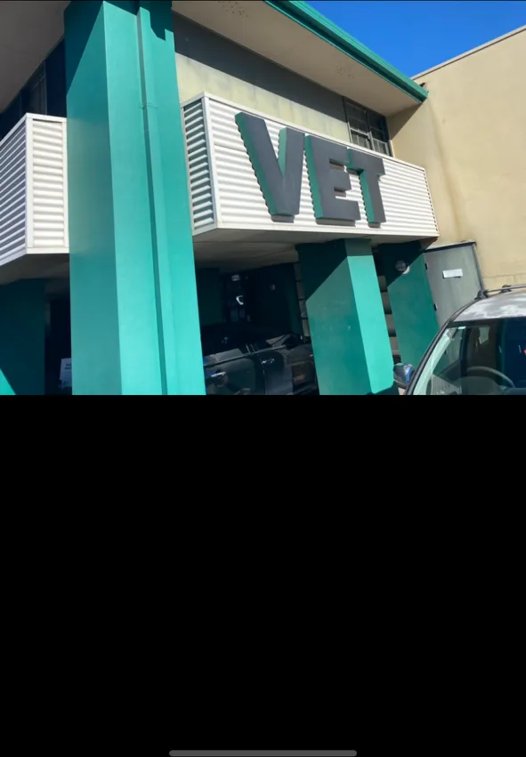 Green exterior of Greencross Vets Tuggerah before painting